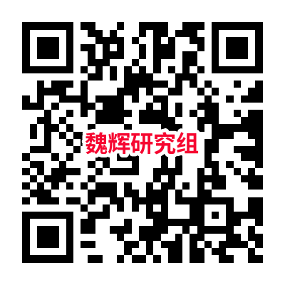 图片1_2133图片1